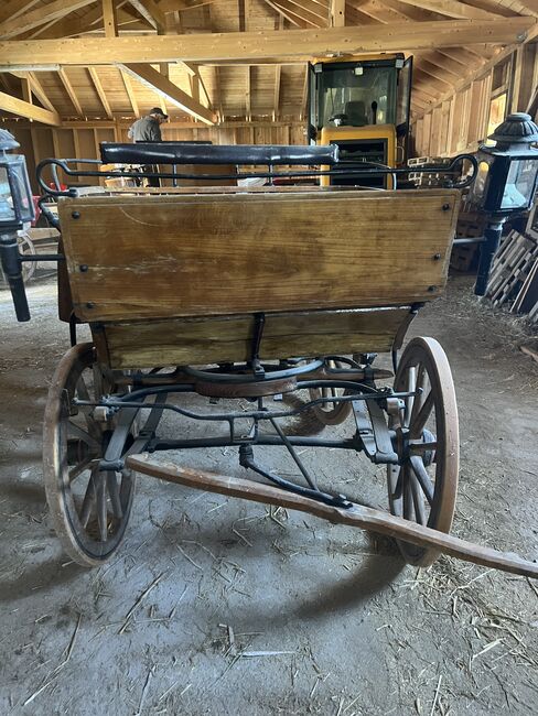 1spänner Kutsche, Helena Henninger, Carriages, Steyregg, Image 6