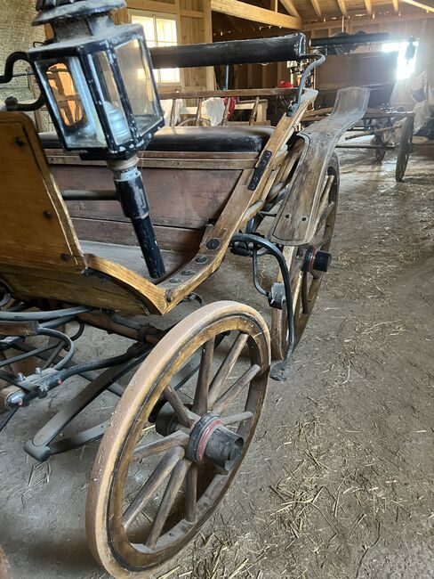 1spänner Kutsche, Helena Henninger, Carriages, Steyregg, Image 7