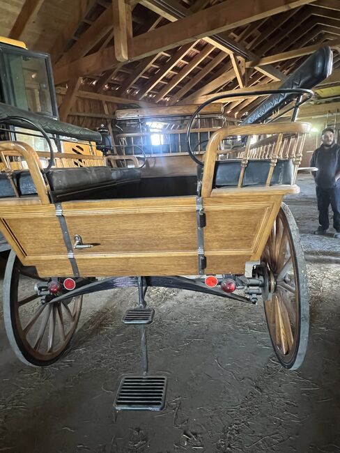 2&4spänner kutsche, Helena Henninger, Carriages, Steyregg