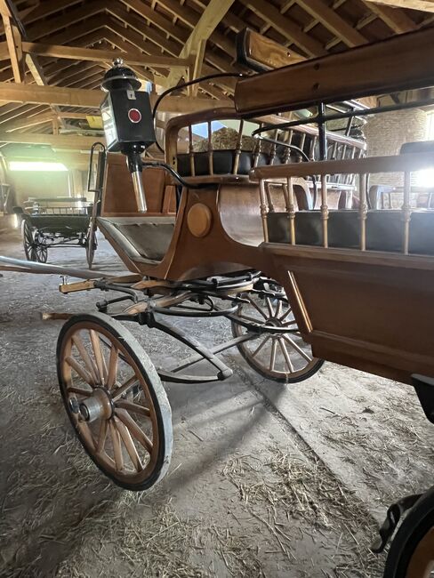 2&4spänner kutsche, Helena Henninger, Carriages, Steyregg, Image 8
