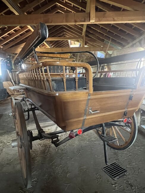 2&4spänner kutsche, Helena Henninger, Carriages, Steyregg, Image 9