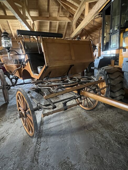2&4spänner kutsche, Helena Henninger, Carriages, Steyregg, Image 11