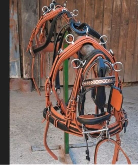 2spänner shetty Geschirr Leder, Bauer , Horse Harness, Wehrheim 