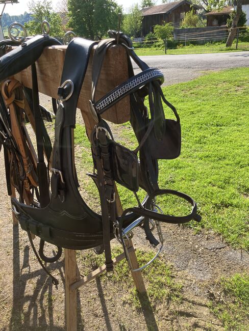 2-Spänner-Geschirr/franz.Marathon/Kummet/ kein Brustblatt, Stefanie , Horse Harness, Miesbach