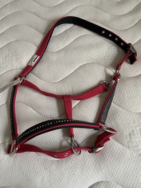 2 Neue Halfter, Mady, Halters, Balge, Image 2