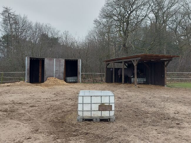 2 Offenstall/Offenstallplätze frei, Tanja, Horse Stables, Reken, Image 2