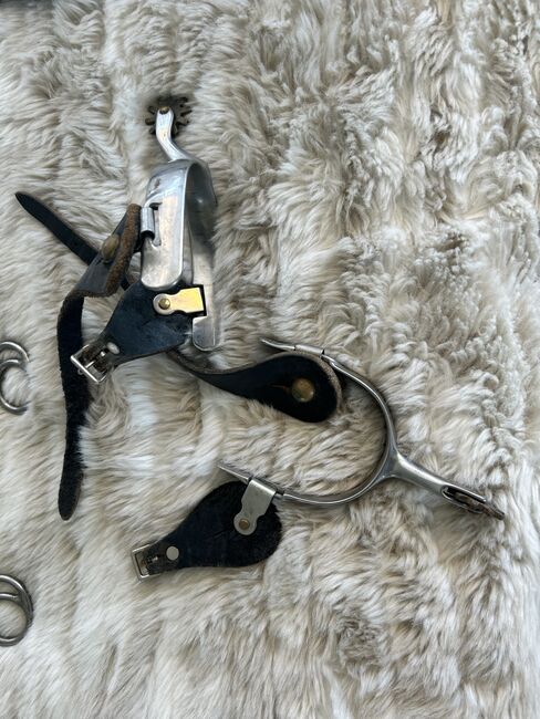 2 Sporen Paare, Pia Eichholzer, Whips, Horriwil, Image 3