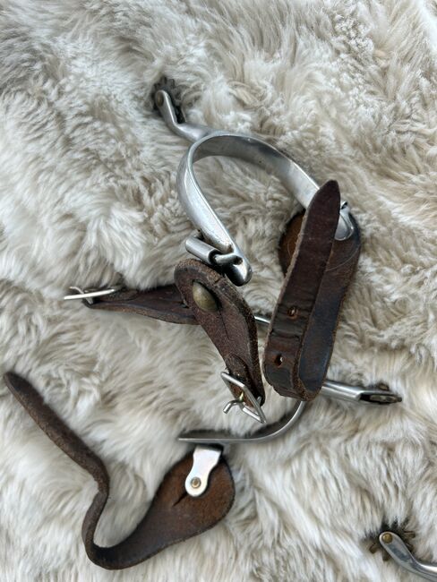 2 Sporen Paare, Pia Eichholzer, Whips, Horriwil, Image 2