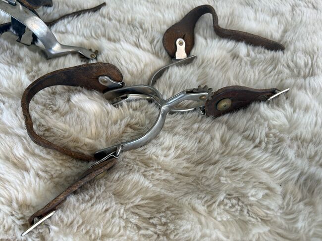 2 Sporen Paare, Pia Eichholzer, Whips, Horriwil