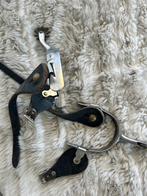 2 Sporen Paare, Pia Eichholzer, Whips, Horriwil, Image 4