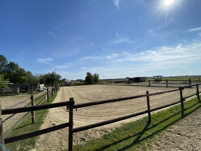 2 Paddockboxen, Angelika Walter, Horse Stables, Bremen, Image 12