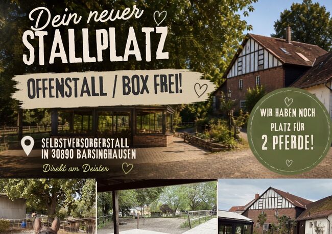 2 Plätze im Offenstall / Box in 30890 frei, Schper , Horse Stables, Barsinghausen