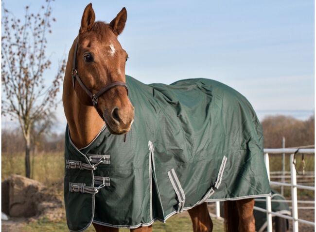 2 Regendecken, Weidedecke Polarfleece BASICLINE, Marie , Horse Blankets, Sheets & Coolers, Magdeburg 