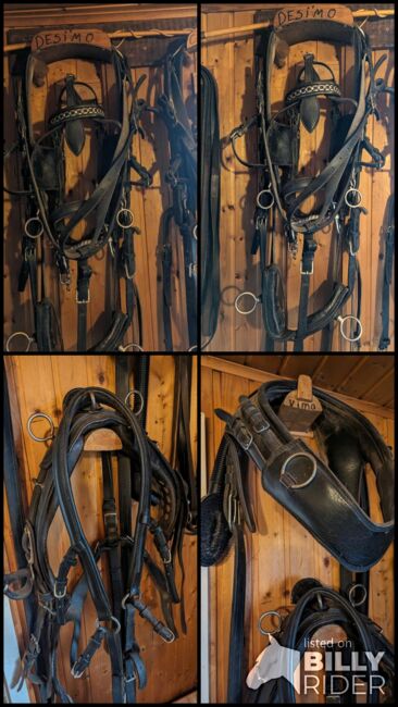 2 spänner geschirr, unbekannt, Markus, Horse Harness, sulzbach, Image 5