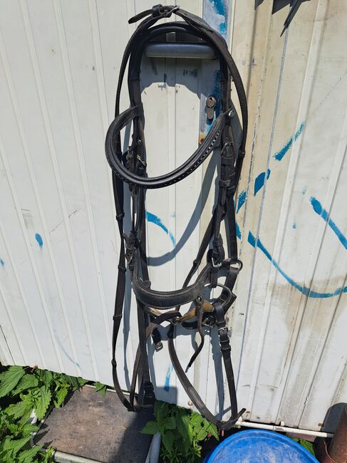 2 Trensen, Showmaster, Lisa, Bridles & Headstalls, Eppendorf, Image 2