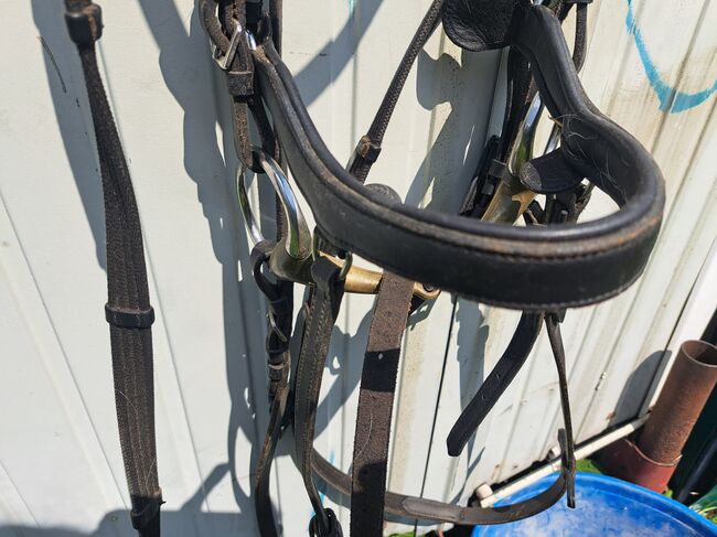 2 Trensen, Showmaster, Lisa, Bridles & Headstalls, Eppendorf, Image 3