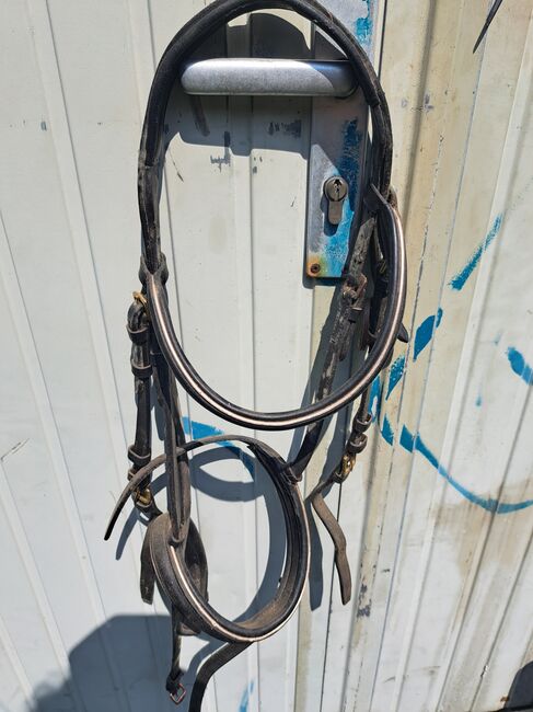2 Trensen, Showmaster, Lisa, Bridles & Headstalls, Eppendorf, Image 5