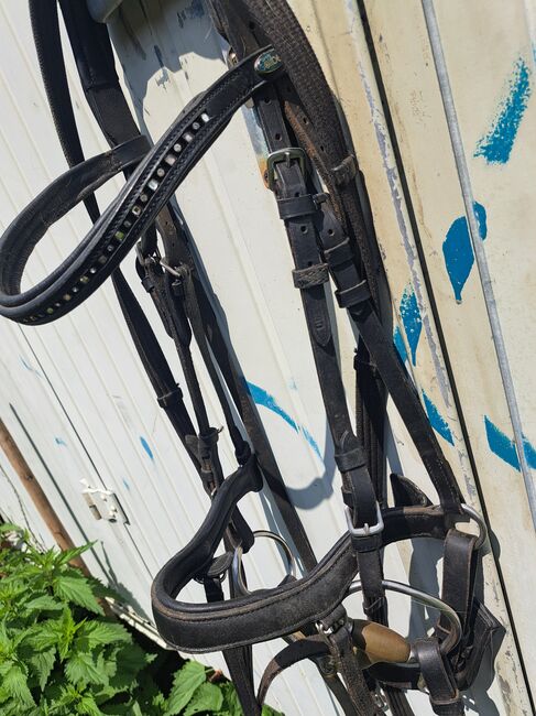 2 Trensen, Showmaster, Lisa, Bridles & Headstalls, Eppendorf