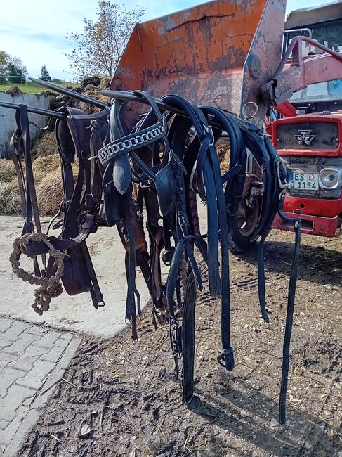 2 Arbeitsgeschirre und 1 Turniergeschirr, Paul Stöcker , Uprząż dla powozy konne, Nürtingen 