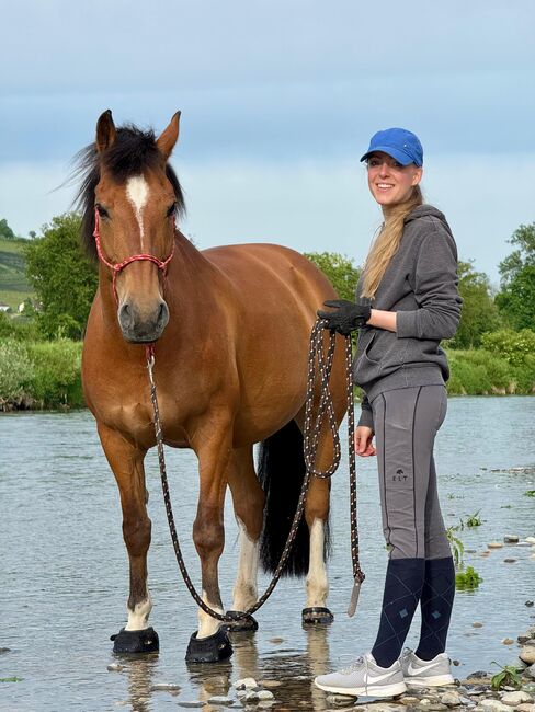 20 % Rabattgutschein DANKESCHÖN20, Maya (Swisshorseshop), Horse Blankets, Sheets & Coolers, Frauenfeld