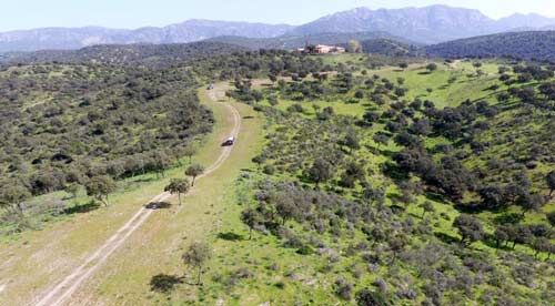 2503LM Spanien, Andalusien, Provinz Jaen, Andujar - 852 ha Jagdfinca mit exkl. Cortijo zu verkaufen, Sabine Wesseln, Maras World of Horses (Maras World of Horses, Maras World Solutions S.L.), Pferdeimmobilien, Andujar, Abbildung 2