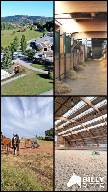 2538MP Frankreich, Vogesen, Epinal, Gestüt, Reitanlage zu verkaufen, Sabine Wesseln, Maras World of Horses (Maras World Solutions S.L.), Nieruchomości jeździeckie, Epinal, Image 10