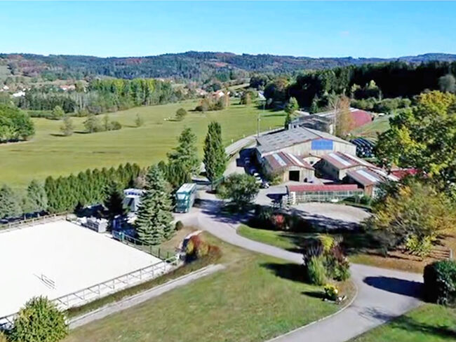 2538MP Frankreich, Vogesen, Epinal, Gestüt, Reitanlage zu verkaufen, Sabine Wesseln, Maras World of Horses (Maras World Solutions S.L.), Pferdeimmobilien, Epinal
