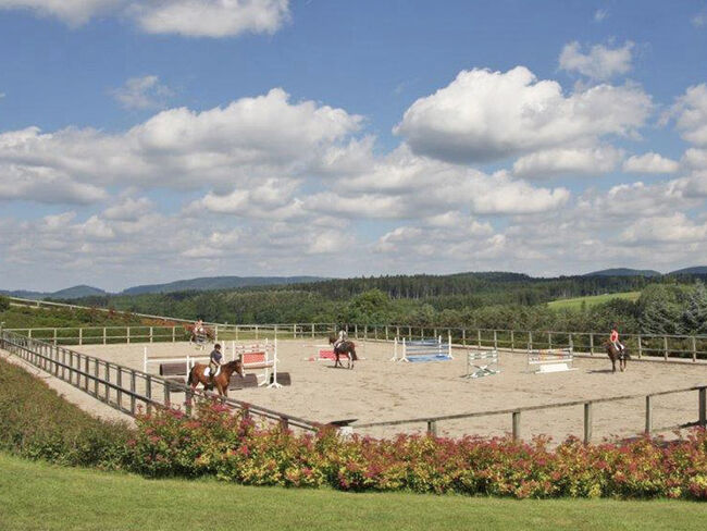 2538MP Frankreich, Vogesen, Epinal, Gestüt, Reitanlage zu verkaufen, Sabine Wesseln, Maras World of Horses (Maras World Solutions S.L.), Pferdeimmobilien, Epinal, Abbildung 6