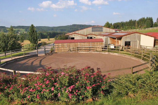 2538MP Frankreich, Vogesen, Epinal, Gestüt, Reitanlage zu verkaufen, Sabine Wesseln, Maras World of Horses (Maras World Solutions S.L.), Pferdeimmobilien, Epinal, Abbildung 3