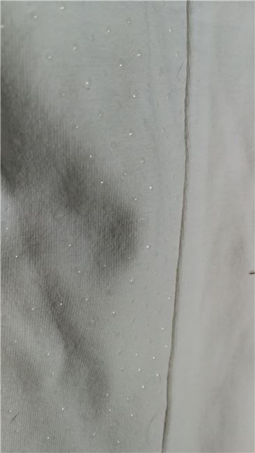 27 HORZE weiße Reithose mit (glitzer)Gripp Gr. 34 Bundweite 33,5 cm, Horze mit Gripp, Martina Benzinger, Reithosen, Thüringen - Rudolstadt, Abbildung 2