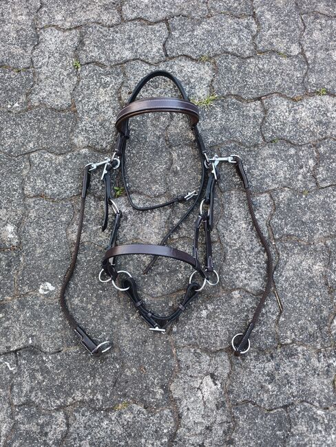 2x Sidepulls von Star Trense, Star, Vivienne Metzger , Bitless Bridles, Eschwege, Image 7
