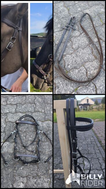 2x Sidepulls von Star Trense, Star, Vivienne Metzger , Bitless Bridles, Eschwege, Image 13