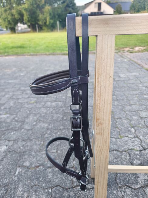 2x Sidepulls von Star Trense, Star, Vivienne Metzger , Bitless Bridles, Eschwege, Image 8