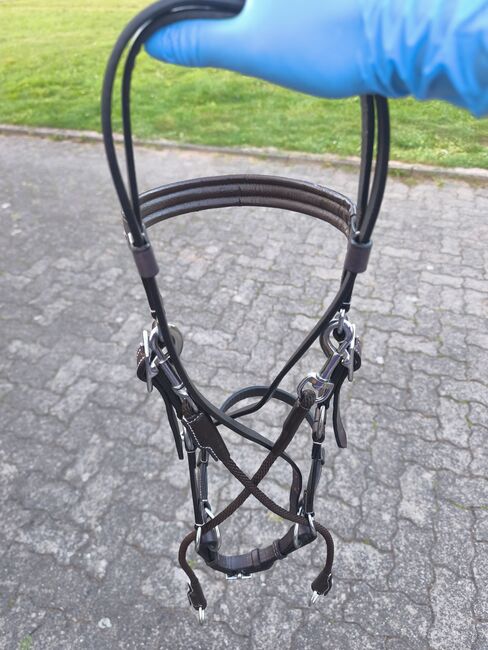 2x Sidepulls von Star Trense, Star, Vivienne Metzger , Bitless Bridles, Eschwege, Image 10