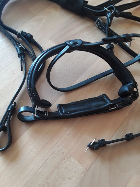 2x Zügel 2x Trensenzaum Trense Martingale Leder WB Full, Ellen, Bridles & Headstalls, Magdeburg, Image 3