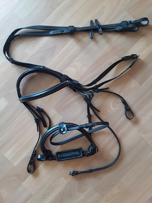 2x Zügel 2x Trensenzaum Trense Martingale Leder WB Full, Ellen, Ogłowia, Magdeburg