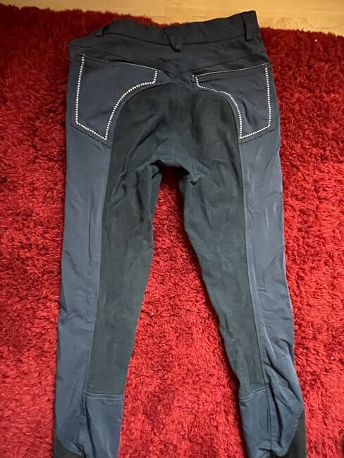 3 Reithosen grau/ schwarz/ navy, Elt/ Caiago , Julia Schmidt, Breeches & Jodhpurs, Lippstadt, Image 17