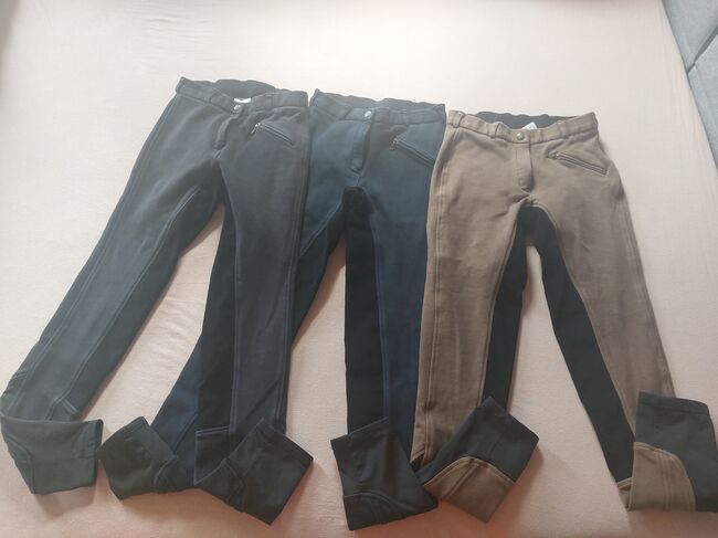 3*Reithosen, Größe 34 in Schwarz, Blau und Braun, Covalliero, Alina Hoff, Breeches & Jodhpurs, Steuerberg