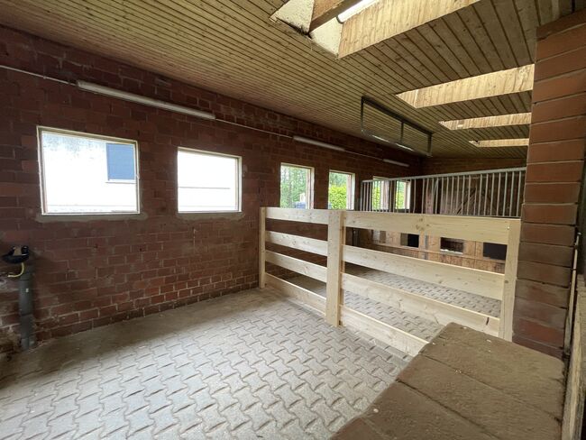 3 freie Pferde boxen, Jesse, Equestrian Properties, Kirchlengern