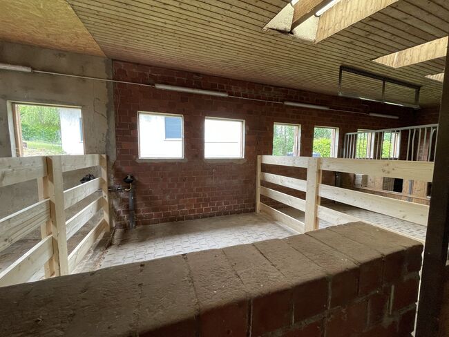 3 freie Pferde boxen, Jesse, Equestrian Properties, Kirchlengern, Image 2