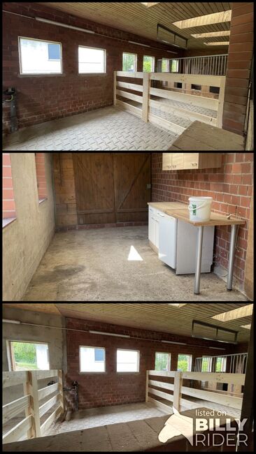 3 freie Pferde boxen, Jesse, Equestrian Properties, Kirchlengern, Image 4
