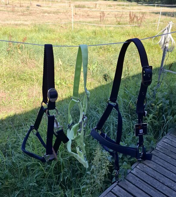 3 neue Pony Halfter (Paket), Marie, Halters, Petersberg