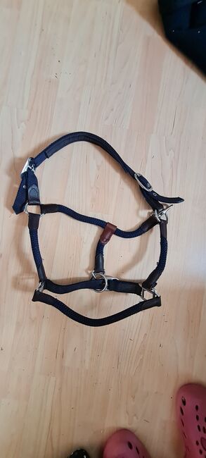 3 verschiedene Halfter, Franziska Lengenfelder , Halters, Essingen, Image 3