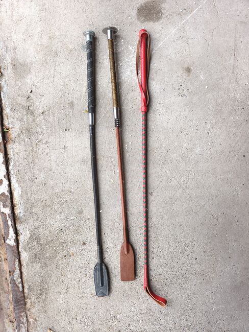 3x Reit-/ Springgerten, Christina, Gerten & Springgerten, Albstadt