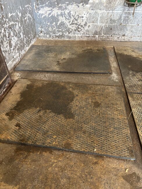 4 große Boxenmatten, Anna, Horse & Stable Mats, Bad Endbach, Image 2