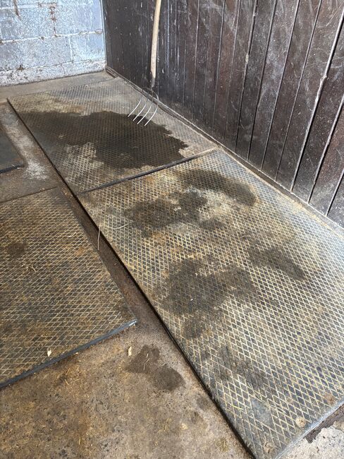 4 große Boxenmatten, Anna, Horse & Stable Mats, Bad Endbach, Image 3