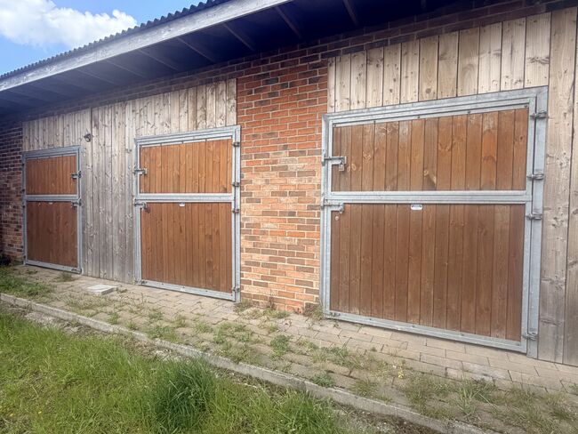 4 IAE large stable doors, IAE, Cheryl, Horse Stables, Newcastle upon Tyne 