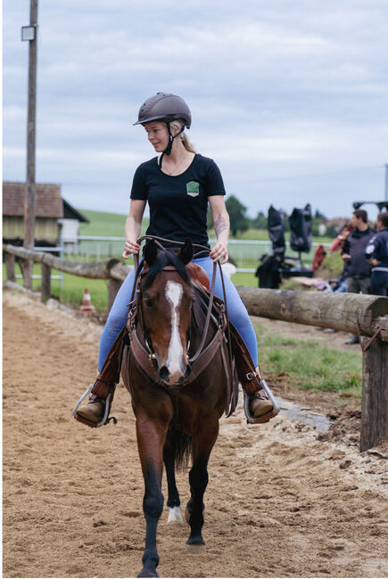4 jähriger Quarter Wallach, Anja Helmel, Horses For Sale, Sankt Willibald 