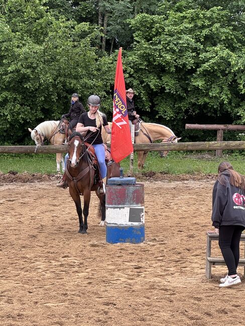 4 jähriger Quarter Wallach, Anja Helmel, Horses For Sale, Sankt Willibald , Image 12