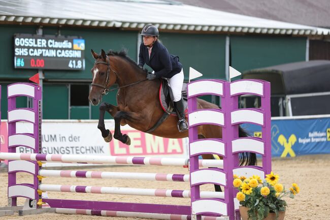 4-jähriger Wallach mit Cassini I-Abstammung – Souveräner Nachwuchs-Star für Springen&Vielseitigkeit, Jasmin Harrer, Pferd kaufen, Hof, Abbildung 19